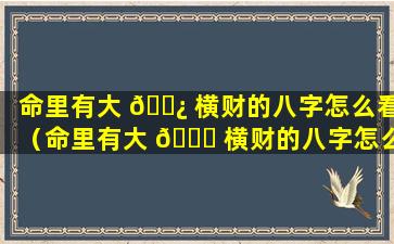 命里有大 🌿 横财的八字怎么看（命里有大 🍀 横财的八字怎么看婚姻）